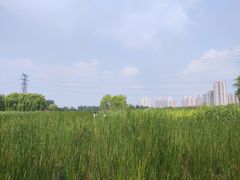 -永定河休闲森林公园