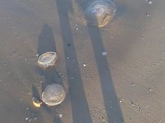 -东戴河风景区-止锚湾