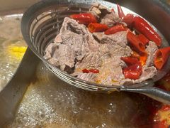 -掂档潮汕牛肉火锅(沈阳万象城店)