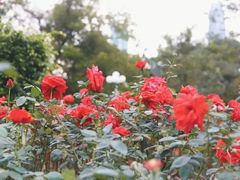 -人民公园(罗湖区)