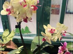 -BOBLOOM花店(宝龙旭辉广场店)
