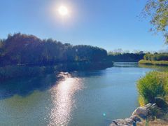 -大兴滨河森林公园