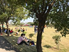 -上海长兴岛郊野公园