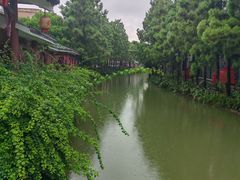 -东涌水乡风情街