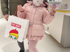 -泡泡玛特POPMART(北国先天下店)