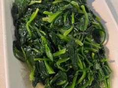 -云中小雅