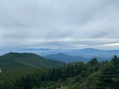-白草畔自然风景区