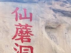 -仙蘑洞
