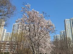 -白塘生态植物园