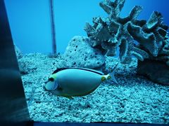 -秦皇岛新澳海底世界