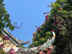 -集美学村