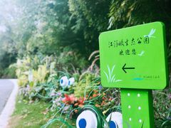 -西湖风景区-江洋畈生态公园