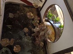 -冶春茶社(官园桥店)