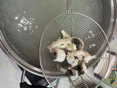 -源港渔村-中山脆肉鲩(博罗店)