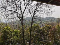 -西湖风景区-江洋畈生态公园