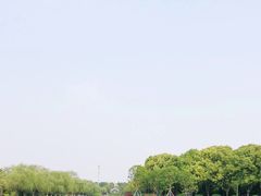 -上海鲜花港