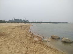 -瑶湖郊野森林公园