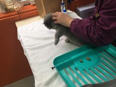 -惠康宠物医院(华能路店)