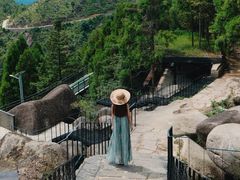 -玉苍山国家森林公园