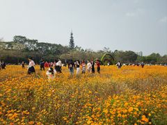 -海珠湖公园