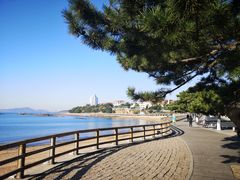 -青岛海滨风景区