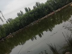 -青城公园