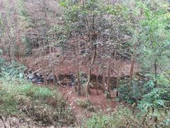 -马峦山郊野公园