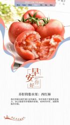 -香薇妮丝·定制减肥·身材管理