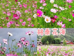 -丽江泸沽湖景区