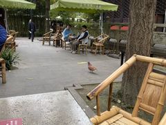 -香园自助小火锅