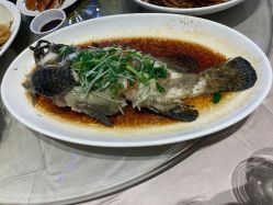 -喜爱轩酒楼·宴会厅