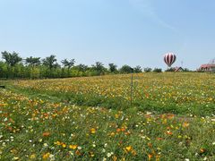 -歌斐颂巧克力小镇