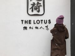 -几荷·恰似故人来(秀水广场店)