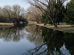 -上海共青森林公园