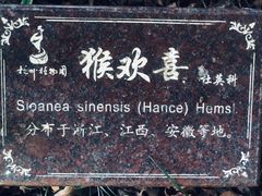 -杭州植物园