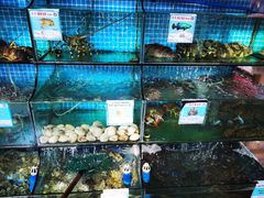 水产区-范饭椰林川湘味海鲜·椰子鸡(三亚湾椰梦长廊店)