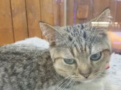 -龟与熊猫宠物公园(南坪店)