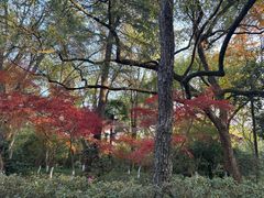 -北山街历史文化街区