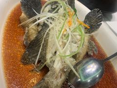 -国惠大酒楼(宝龙店)