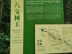 -莫里热带雨林景区