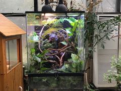 -上海大自然野生昆虫馆(东方明珠·爬宠昆虫探索中心)