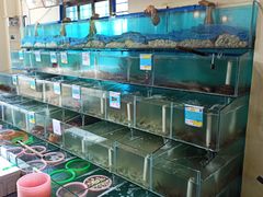 水产区-琼大师东方烤乳猪(亚特兰蒂斯店)