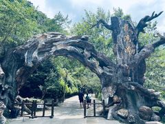 -龙湾潭国家森林公园