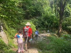 -素山寺森林公园