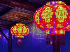 -果松木炭酸菜铜火锅·外婆参鸡汤