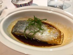 日式味淋汁蒸缅甸鲥鱼-广舟(千禧店)