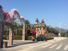 -田野绿世界