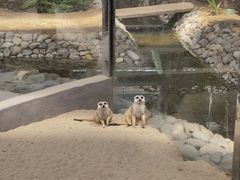 -呀路古热带植物园
