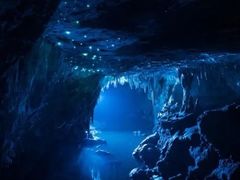 -怀托摩萤火虫洞