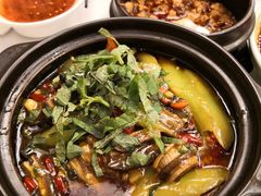 -陈麻婆豆腐总店
